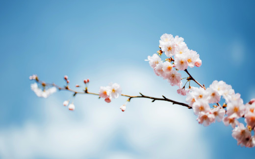 1159071 (a): :2880x1800